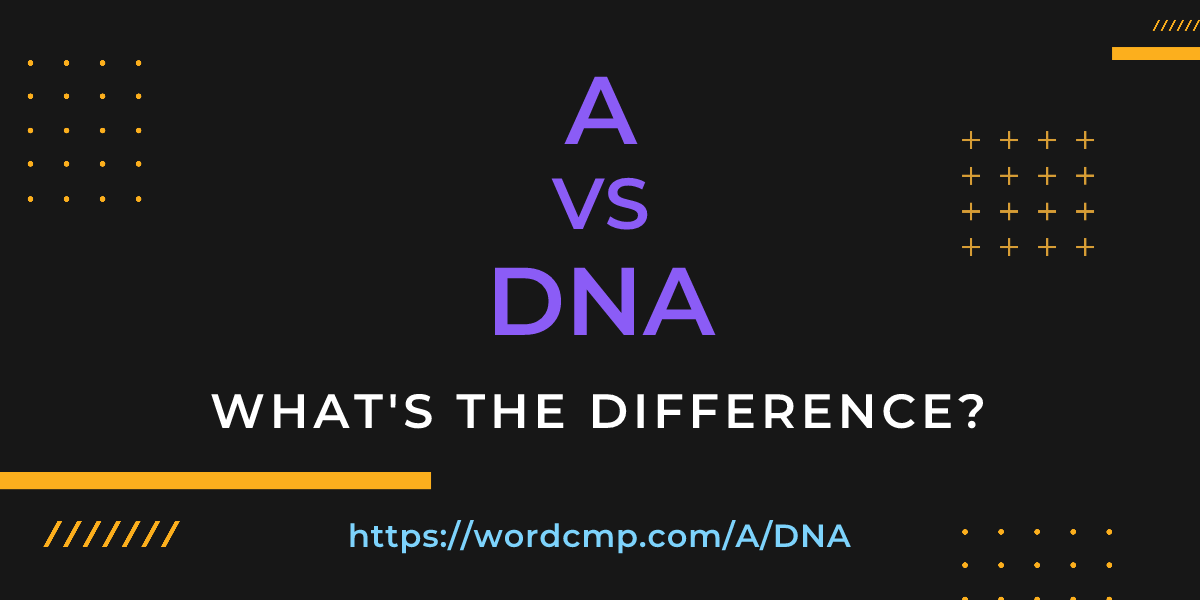 Difference between A and DNA