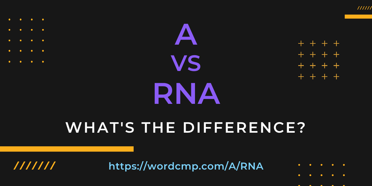 Difference between A and RNA