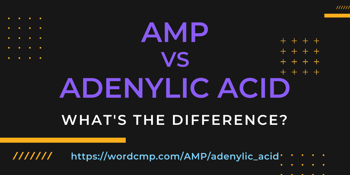 Difference between AMP and adenylic acid