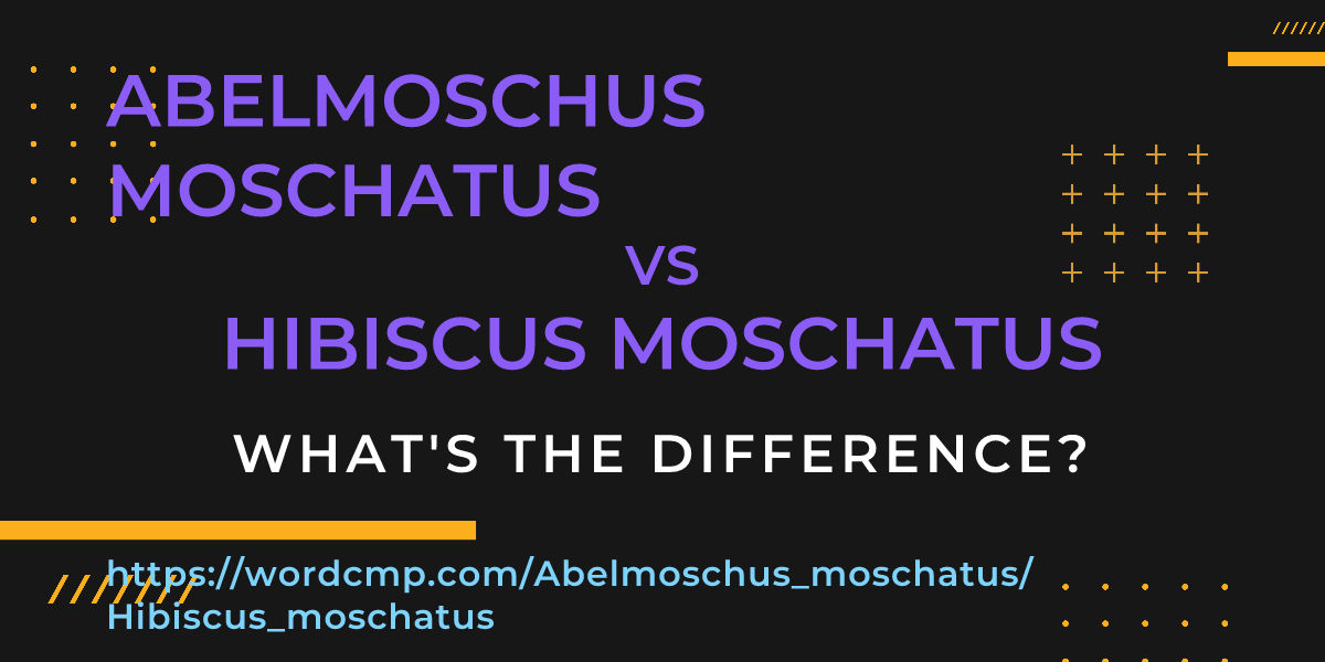 Difference between Abelmoschus moschatus and Hibiscus moschatus