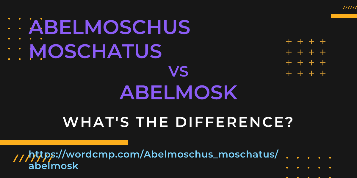 Difference between Abelmoschus moschatus and abelmosk