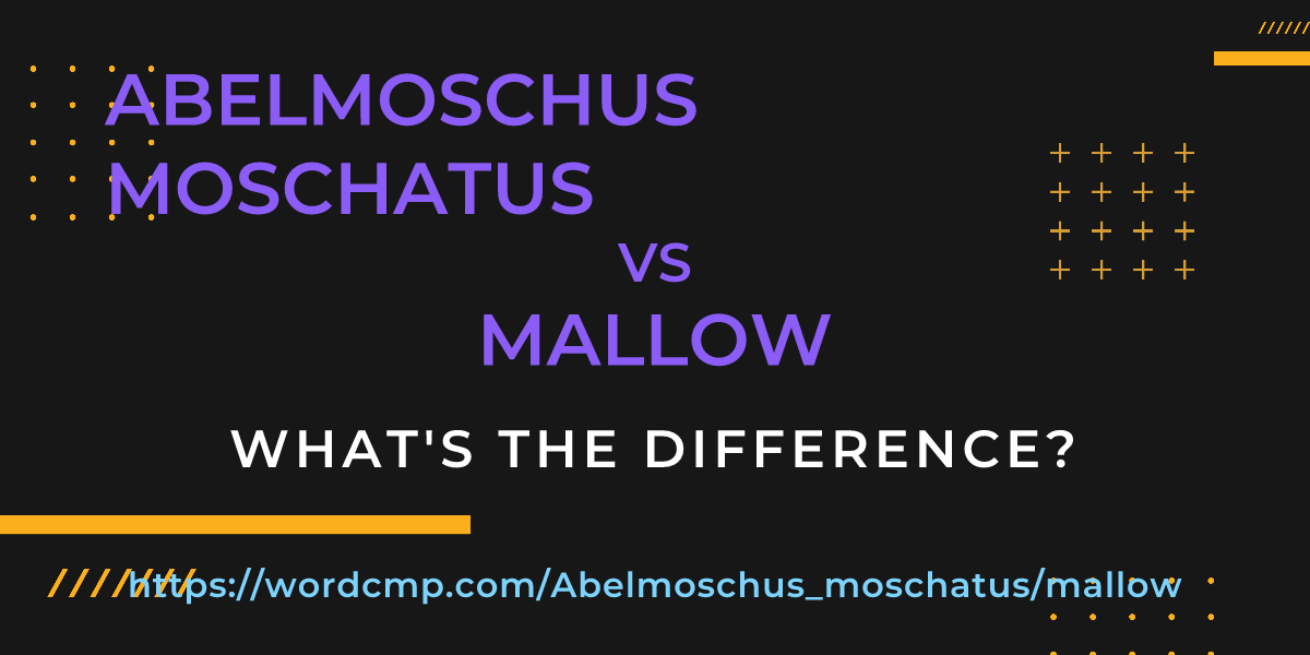 Difference between Abelmoschus moschatus and mallow