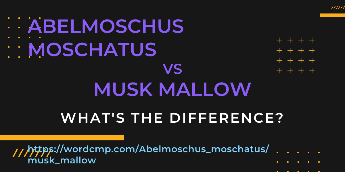Difference between Abelmoschus moschatus and musk mallow
