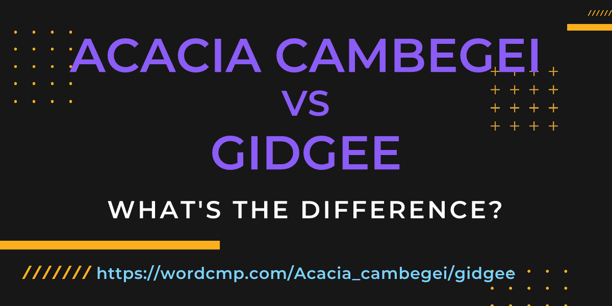 Difference between Acacia cambegei and gidgee