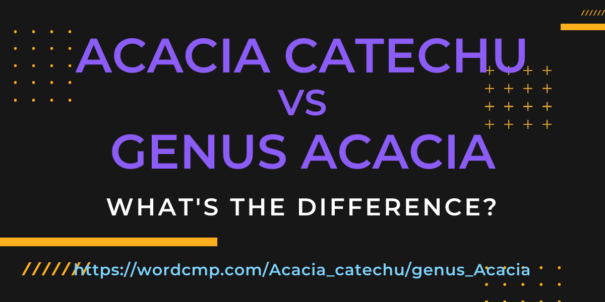 Difference between Acacia catechu and genus Acacia