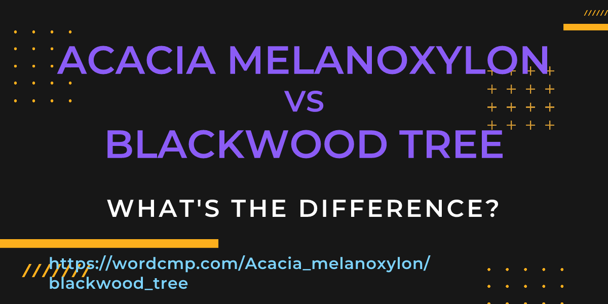Difference between Acacia melanoxylon and blackwood tree