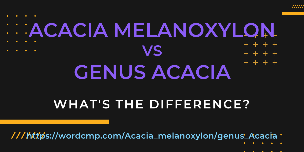 Difference between Acacia melanoxylon and genus Acacia