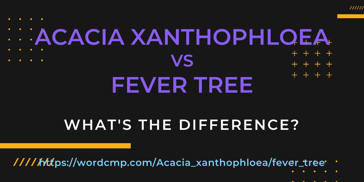Difference between Acacia xanthophloea and fever tree