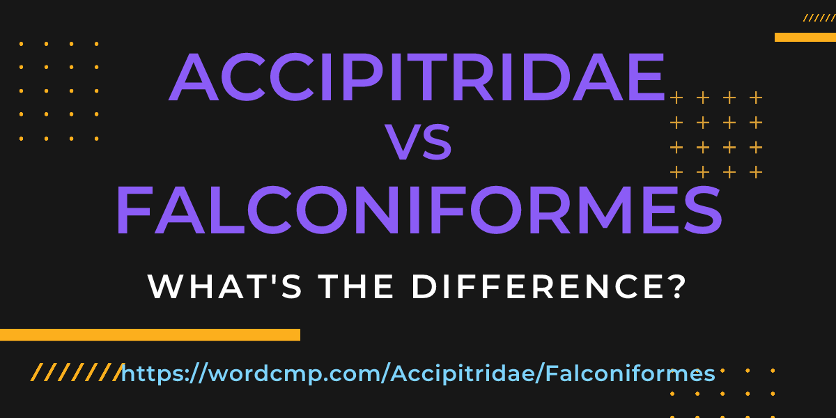 Difference between Accipitridae and Falconiformes