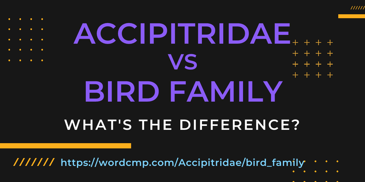 Difference between Accipitridae and bird family