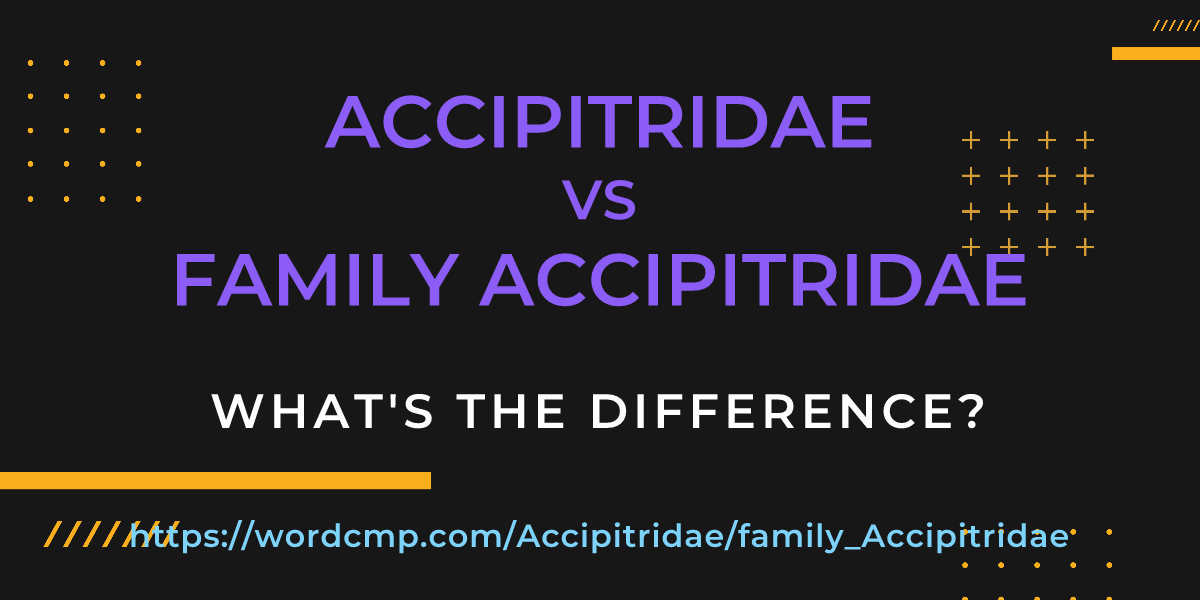 Difference between Accipitridae and family Accipitridae