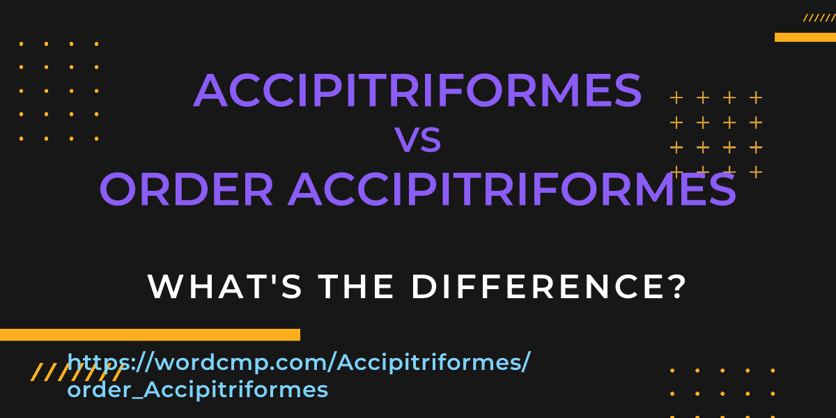 Difference between Accipitriformes and order Accipitriformes