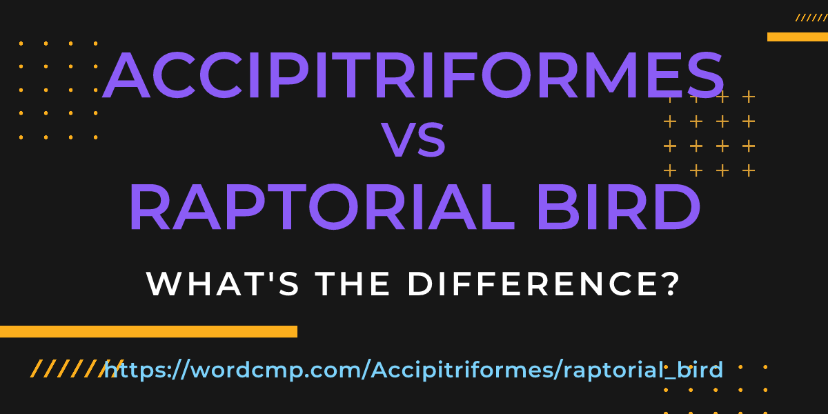 Difference between Accipitriformes and raptorial bird
