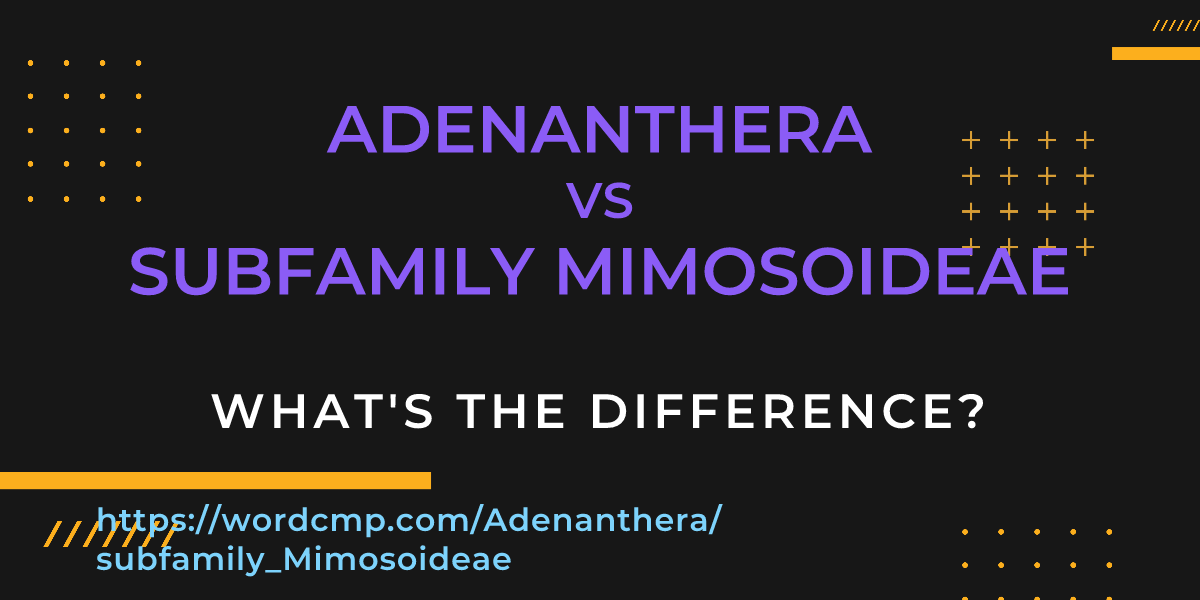 Difference between Adenanthera and subfamily Mimosoideae