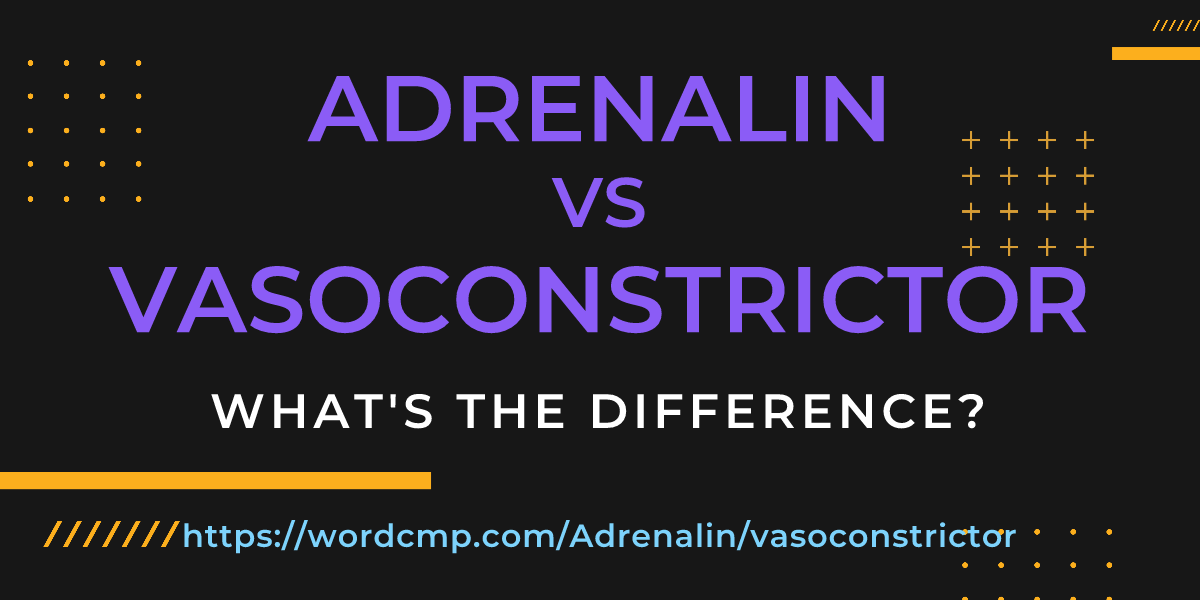 Difference between Adrenalin and vasoconstrictor