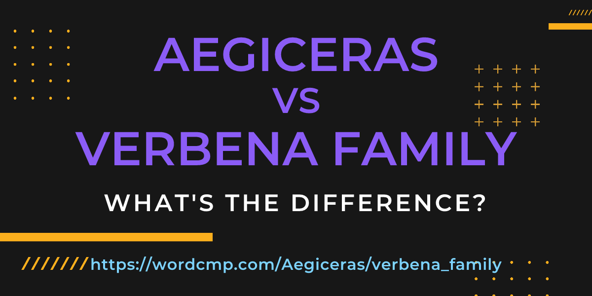 Difference between Aegiceras and verbena family