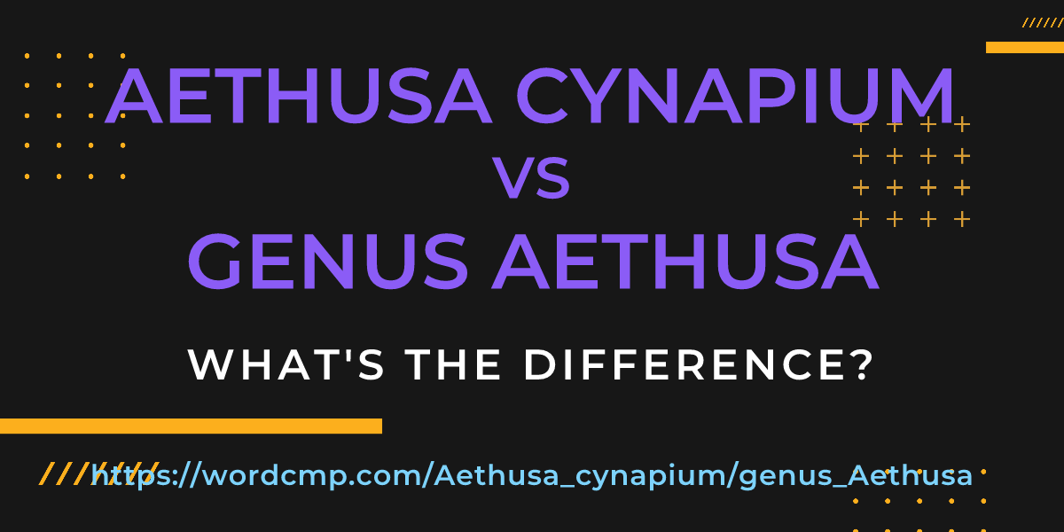 Difference between Aethusa cynapium and genus Aethusa