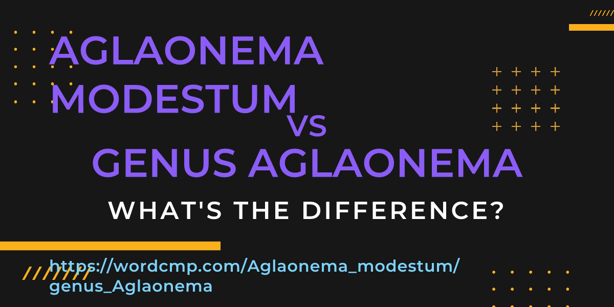 Difference between Aglaonema modestum and genus Aglaonema