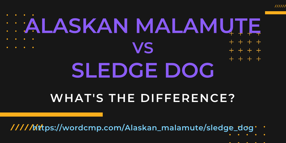 Difference between Alaskan malamute and sledge dog