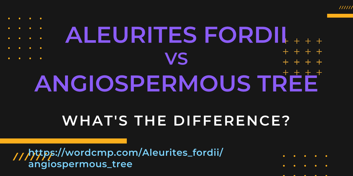 Difference between Aleurites fordii and angiospermous tree
