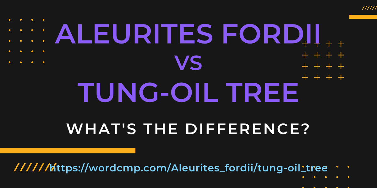 Difference between Aleurites fordii and tung-oil tree