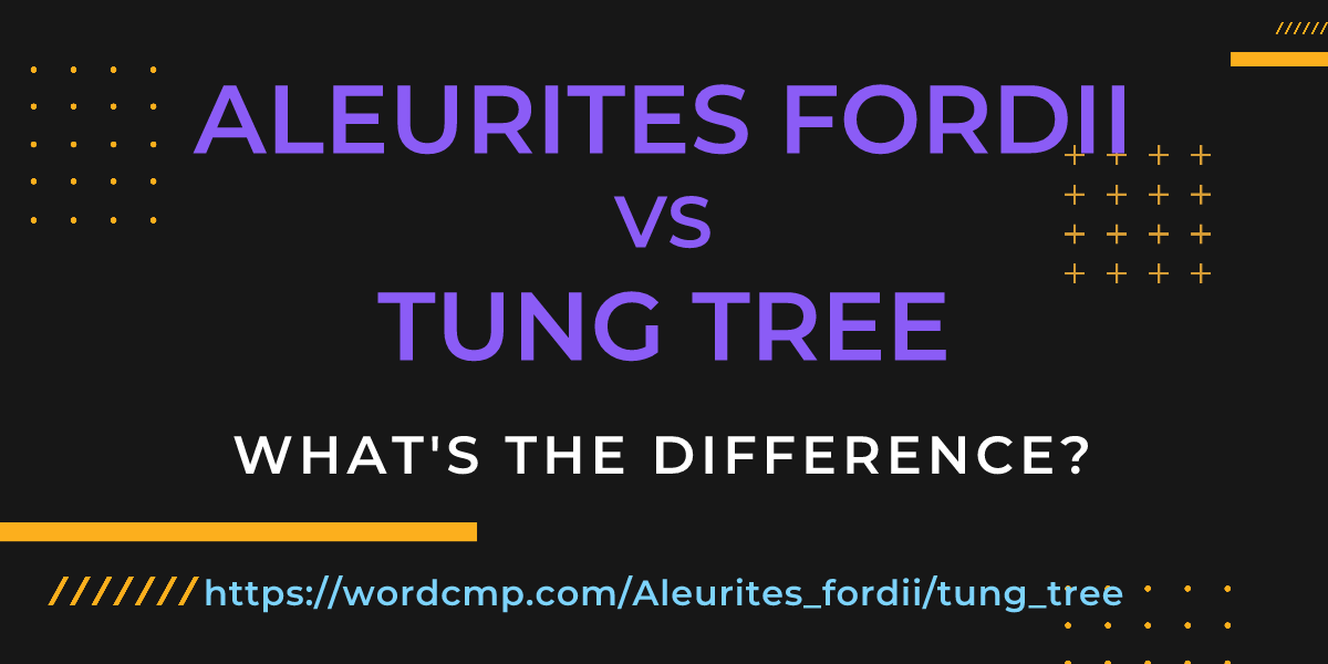 Difference between Aleurites fordii and tung tree