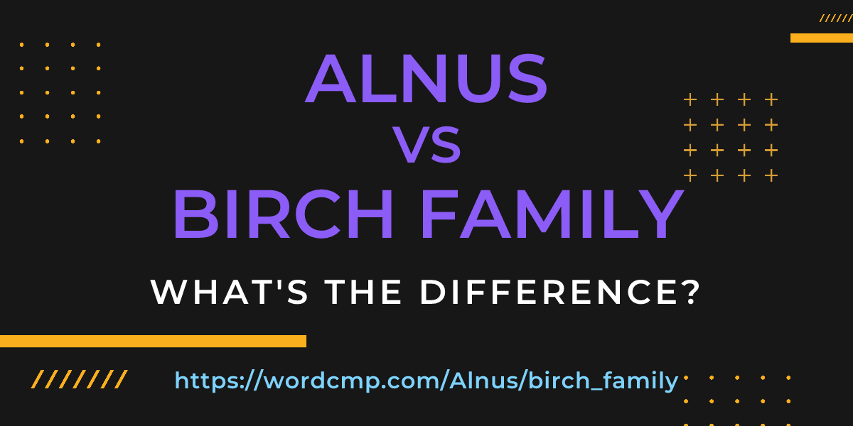 Difference between Alnus and birch family