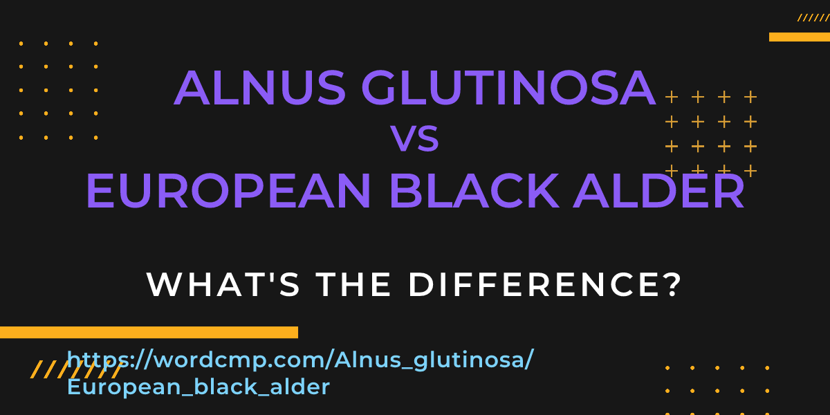 Difference between Alnus glutinosa and European black alder
