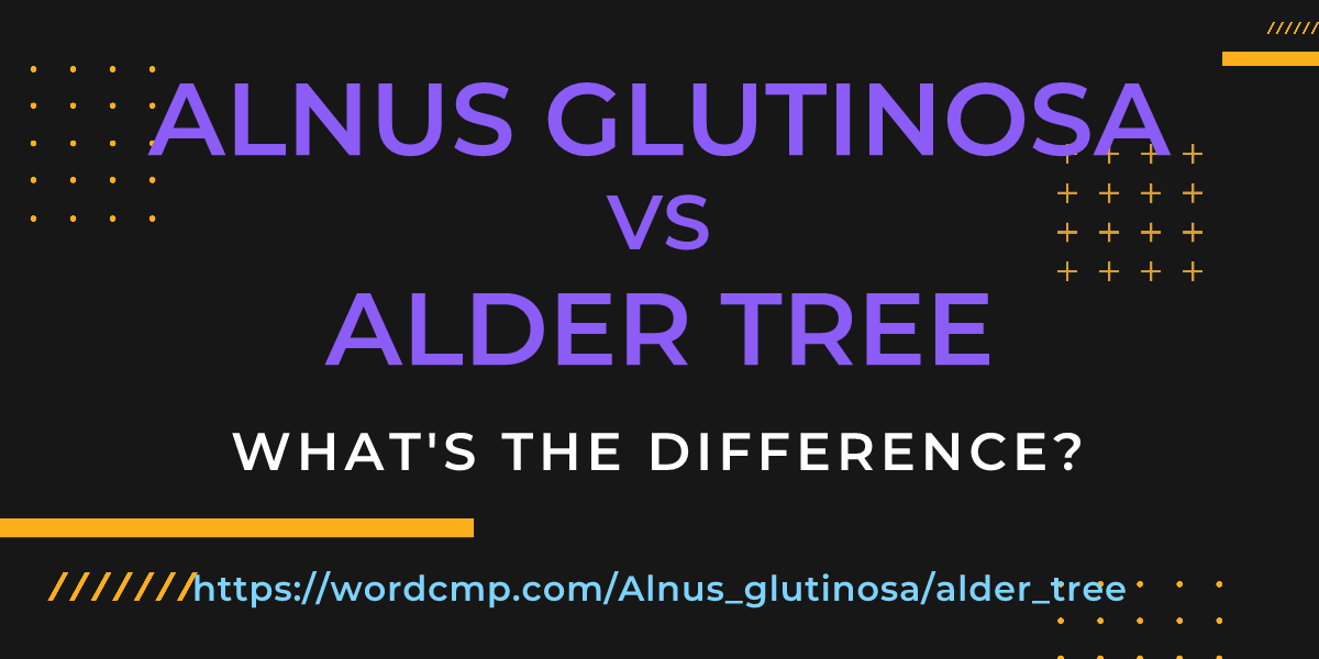 Difference between Alnus glutinosa and alder tree