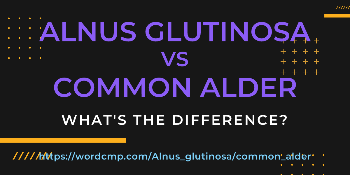 Difference between Alnus glutinosa and common alder