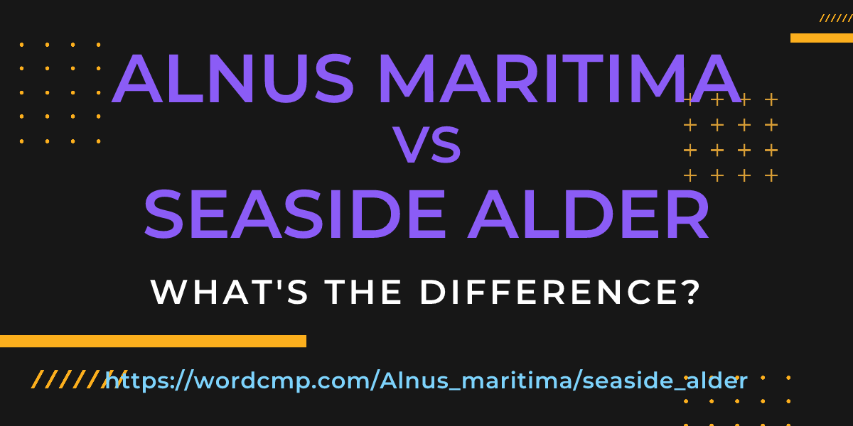 Difference between Alnus maritima and seaside alder