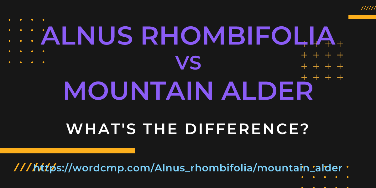 Difference between Alnus rhombifolia and mountain alder