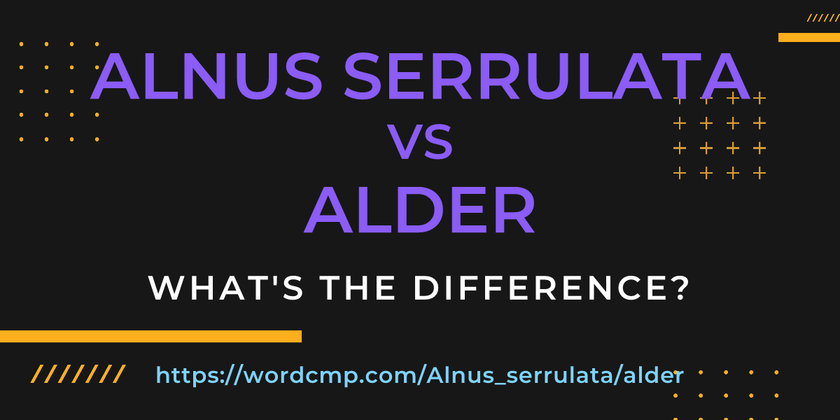 Difference between Alnus serrulata and alder