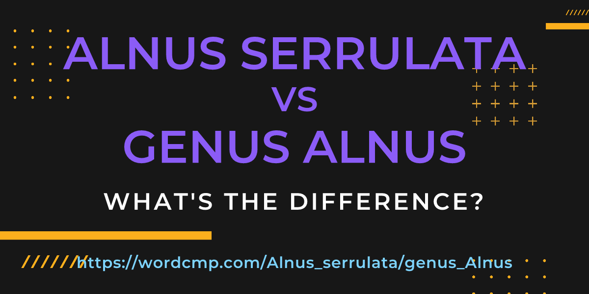 Difference between Alnus serrulata and genus Alnus