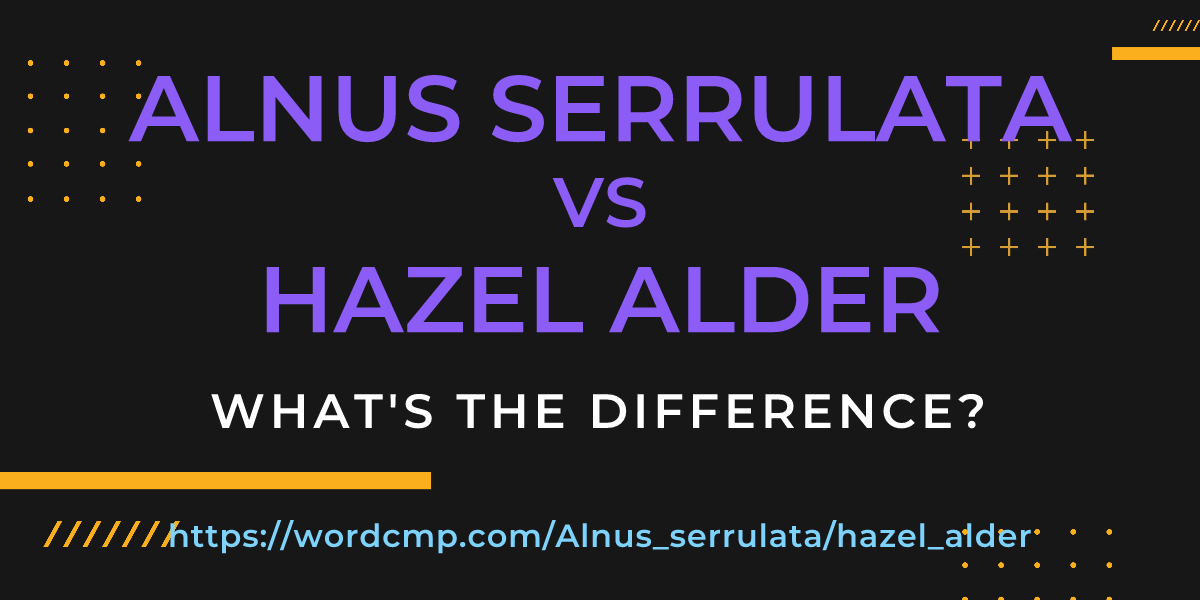 Difference between Alnus serrulata and hazel alder