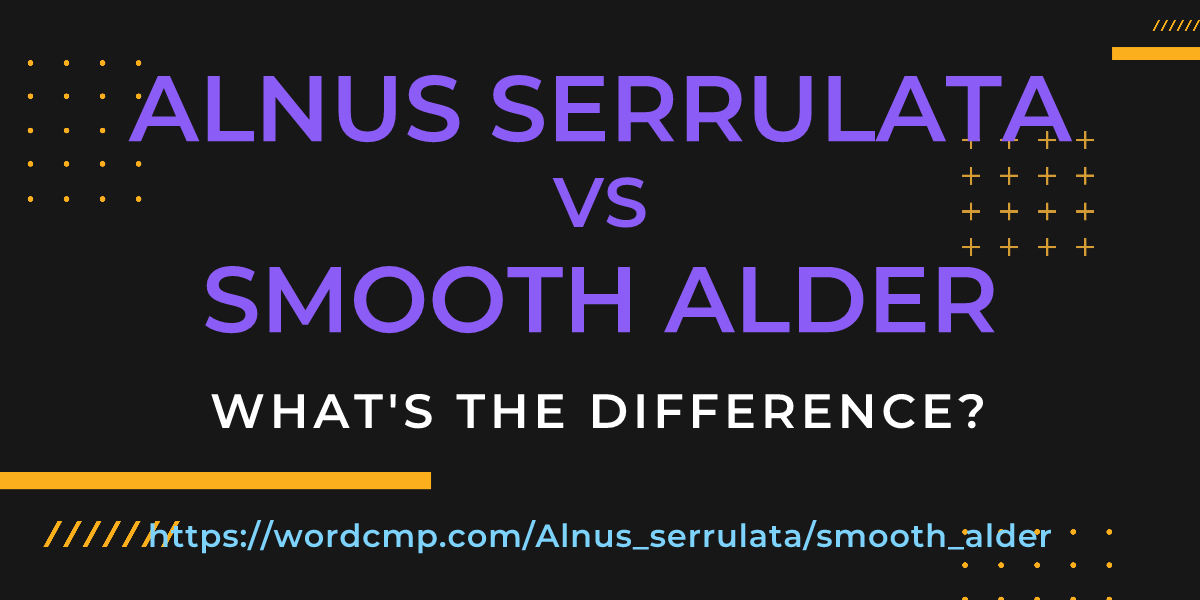 Difference between Alnus serrulata and smooth alder