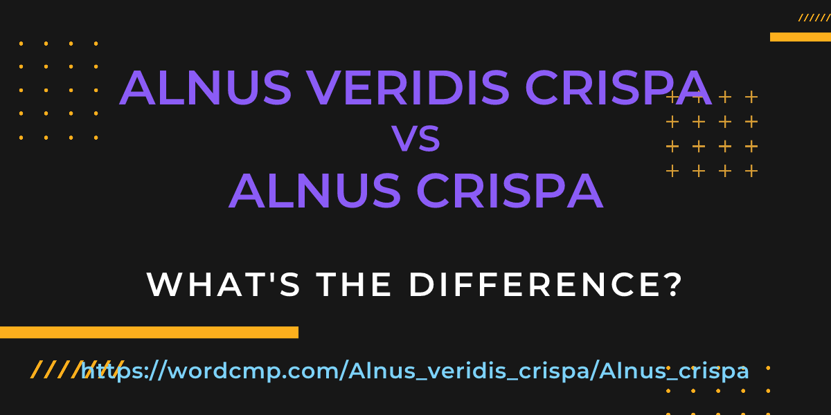 Difference between Alnus veridis crispa and Alnus crispa