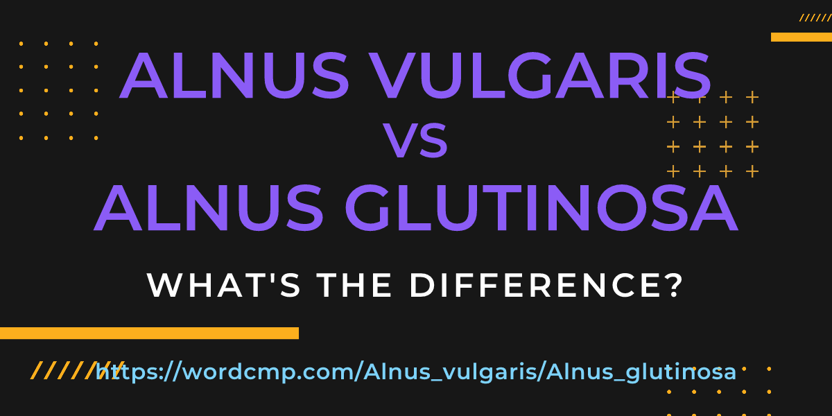 Difference between Alnus vulgaris and Alnus glutinosa