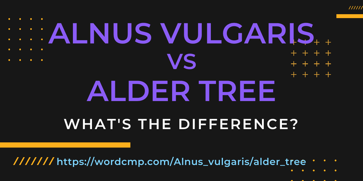 Difference between Alnus vulgaris and alder tree