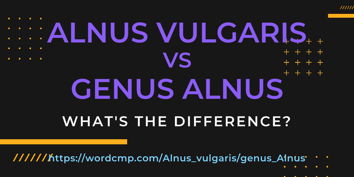 Difference between Alnus vulgaris and genus Alnus