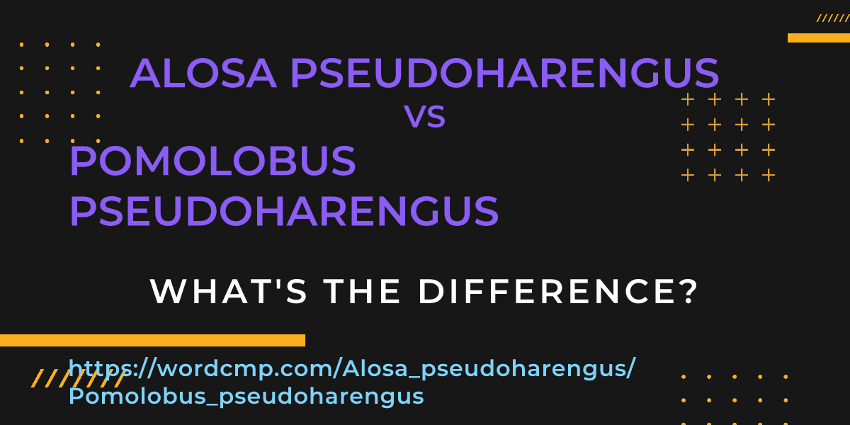 Difference between Alosa pseudoharengus and Pomolobus pseudoharengus