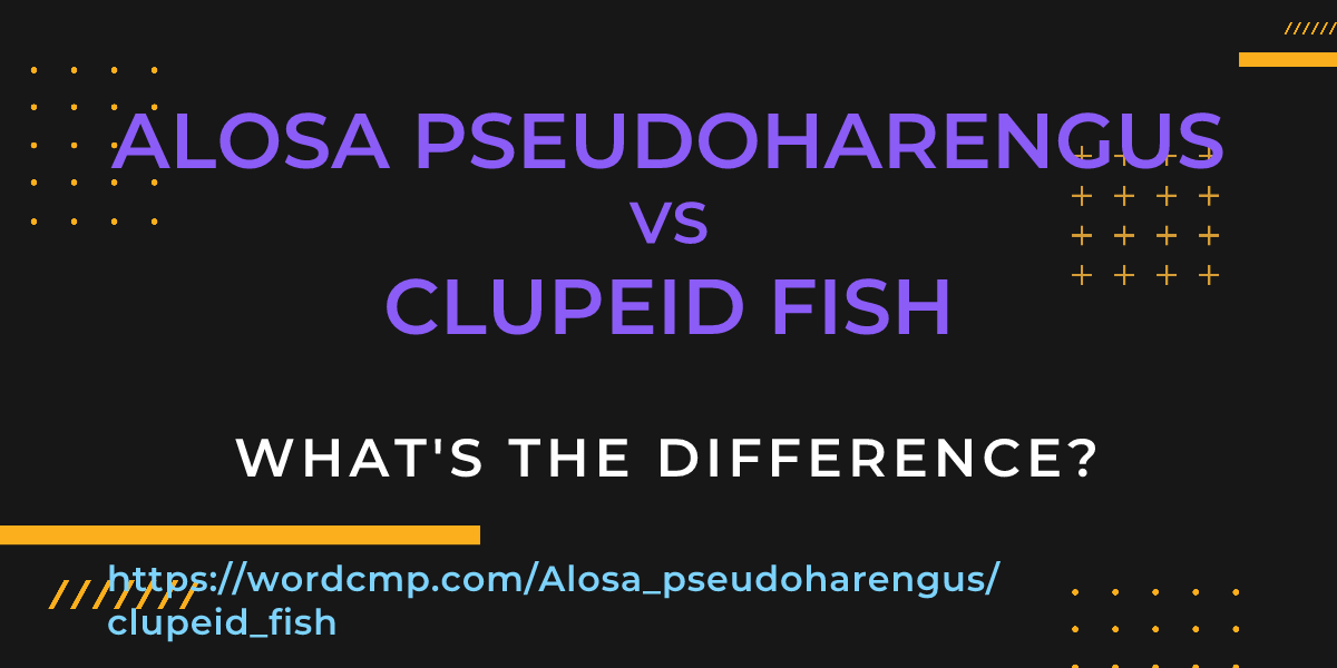 Difference between Alosa pseudoharengus and clupeid fish