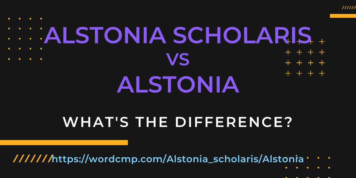 Difference between Alstonia scholaris and Alstonia