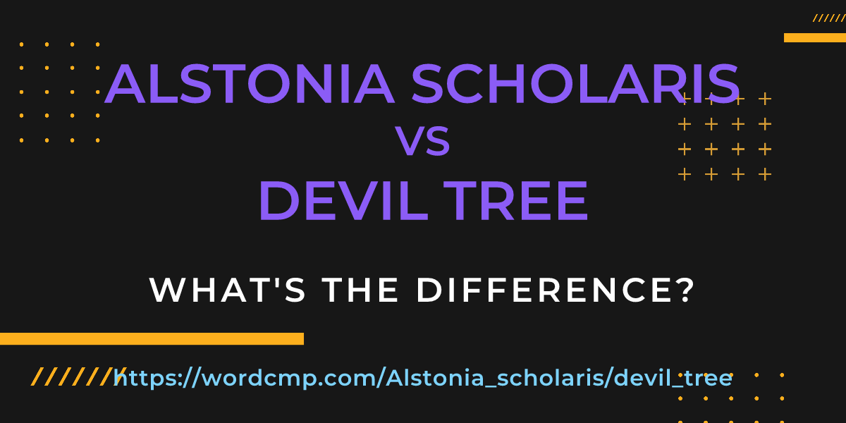 Difference between Alstonia scholaris and devil tree