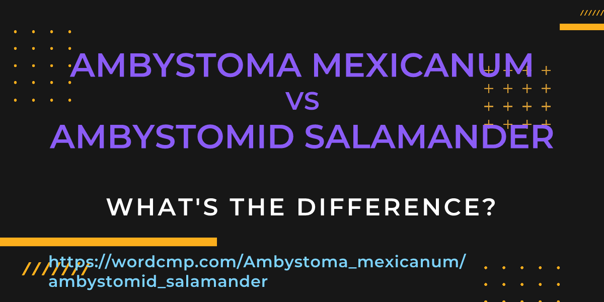Difference between Ambystoma mexicanum and ambystomid salamander