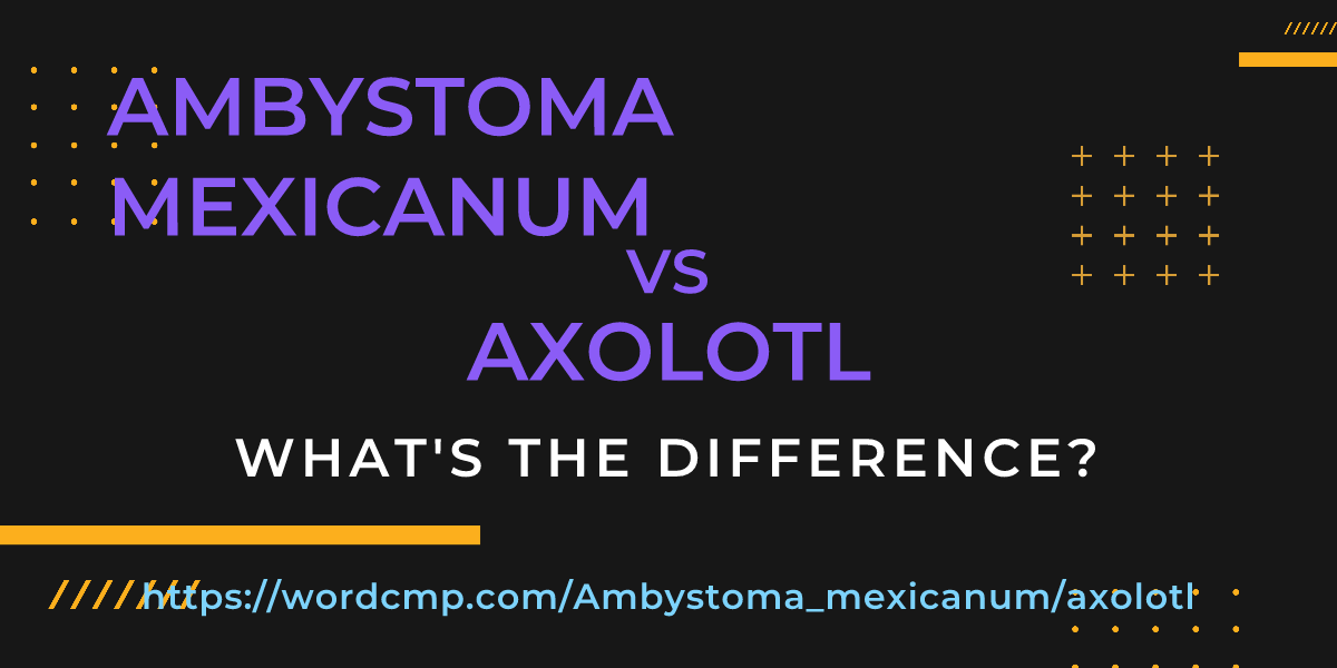 Difference between Ambystoma mexicanum and axolotl