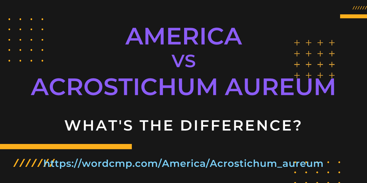 Difference between America and Acrostichum aureum