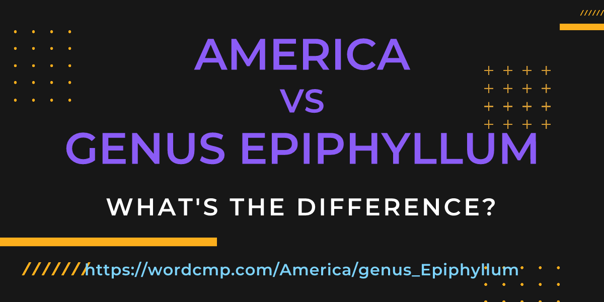 Difference between America and genus Epiphyllum