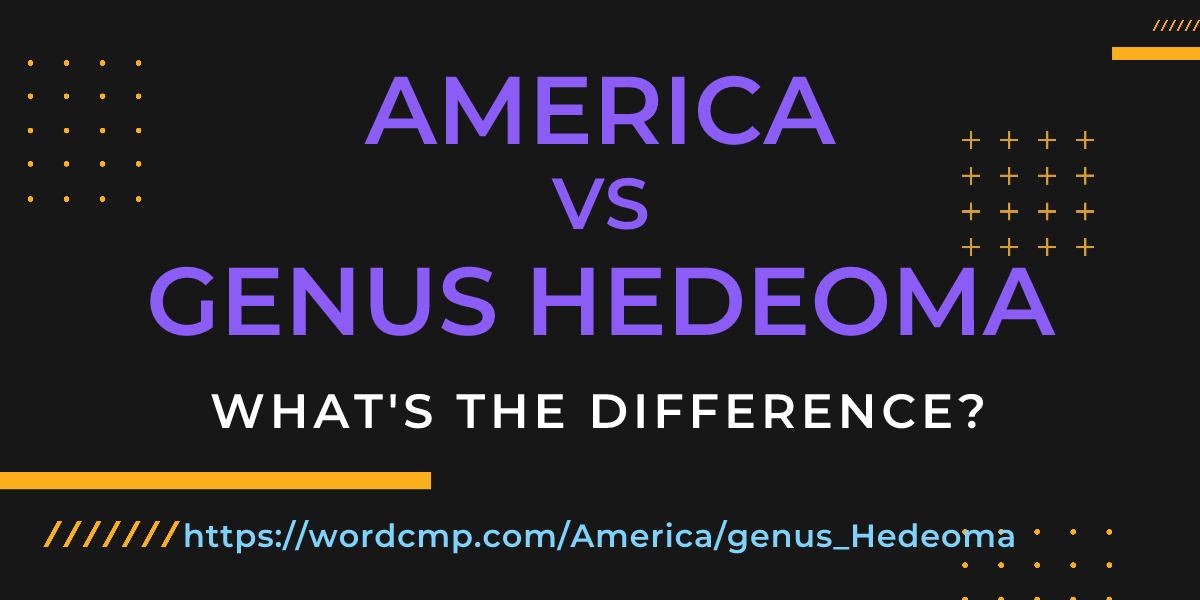 Difference between America and genus Hedeoma