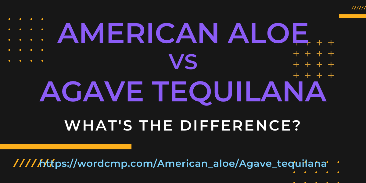 Difference between American aloe and Agave tequilana